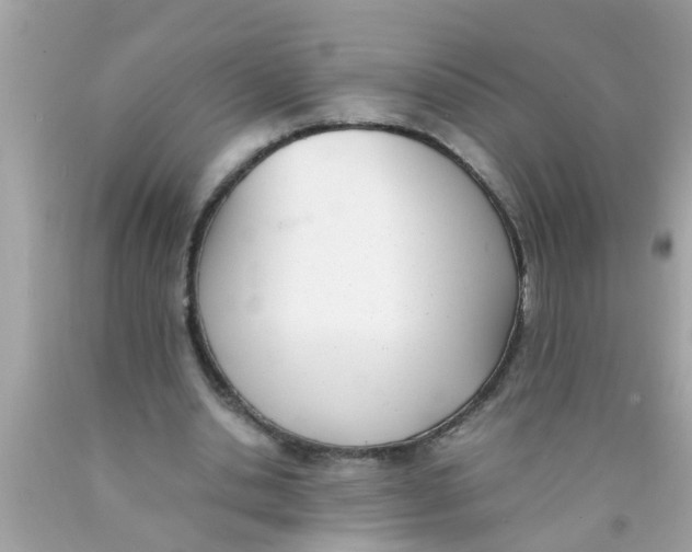 X0000089870438200707262152