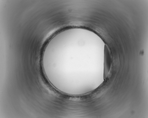 X0000089870440200707262152