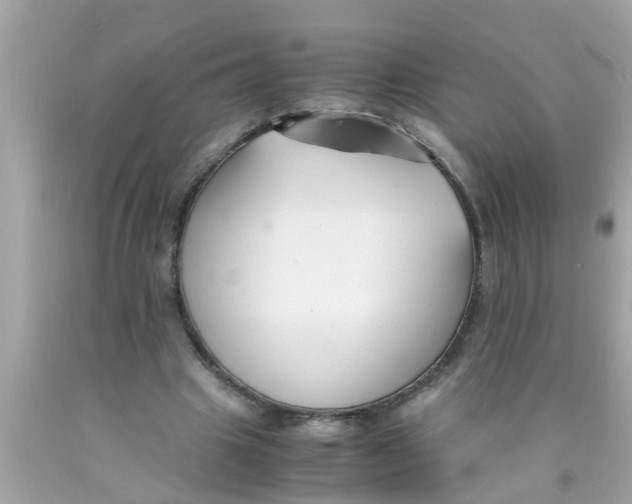 X0000089870441200707262152