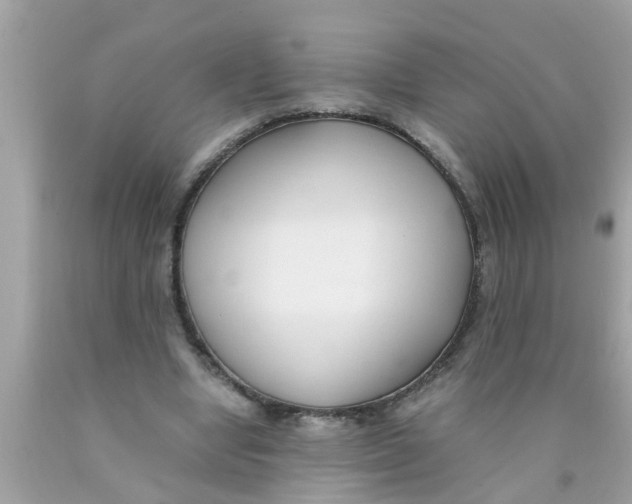X0000089870442200707262152
