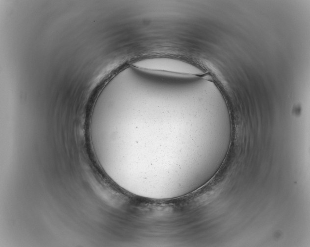 X0000089870443200707262152