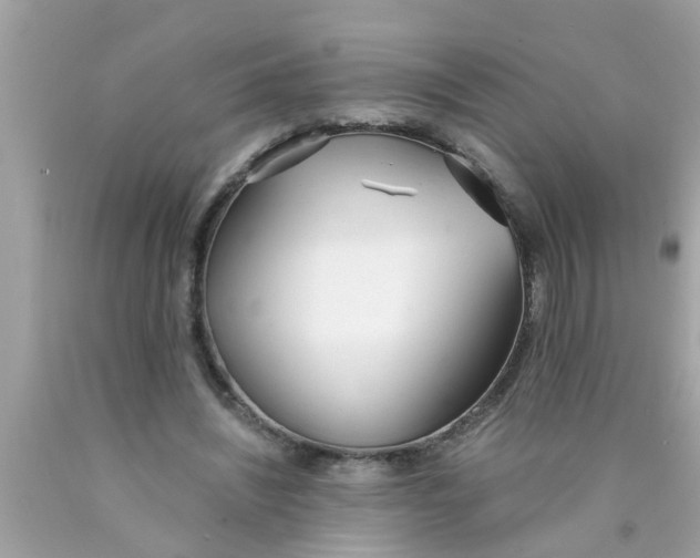 X0000089870444200707262152
