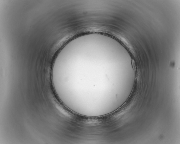 X0000089870445200707262152