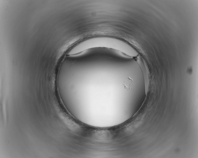 X0000089870446200707262152