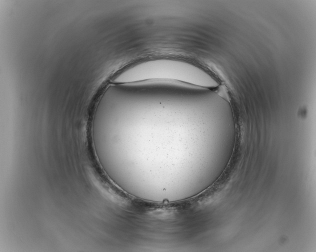 X0000089870447200707262152