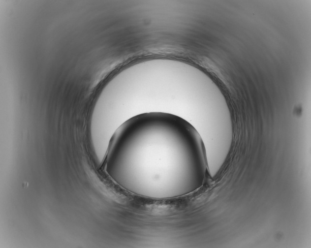 X0000089870448200707262152