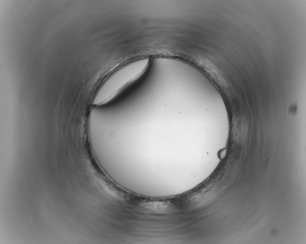 X0000089870449200707262152