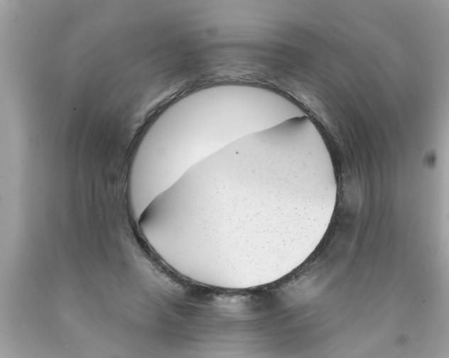 X0000089870450200707262152