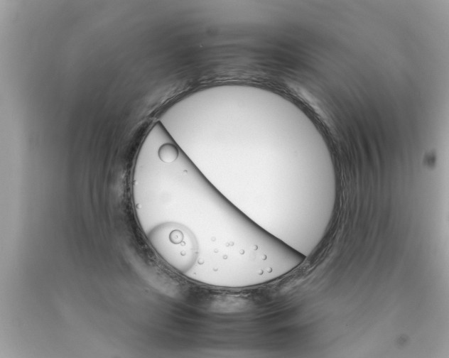 X0000089870451200707262152