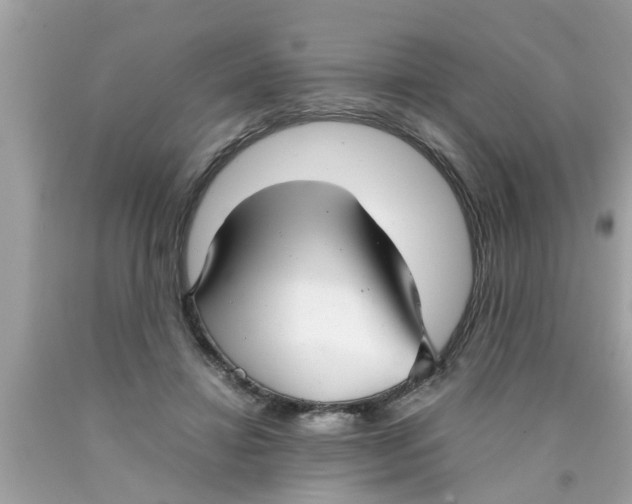 X0000089870452200707262152