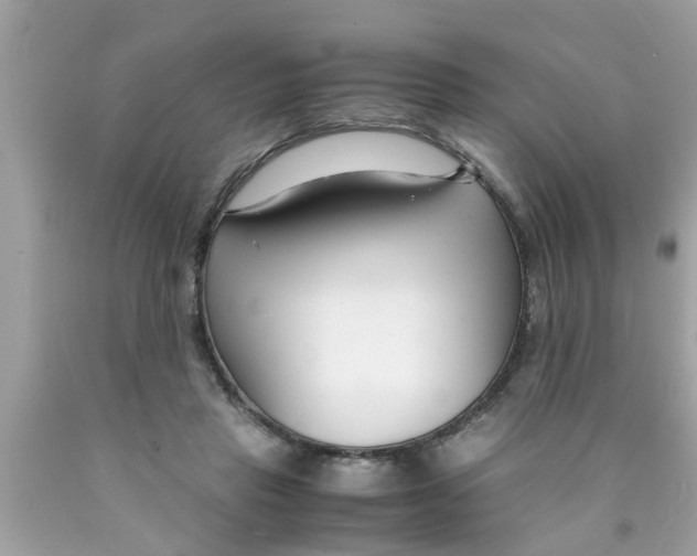 X0000089870453200707262152