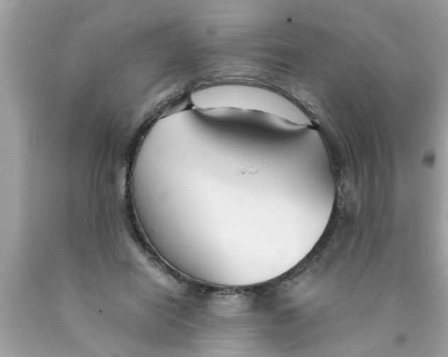 X0000089870454200707262152