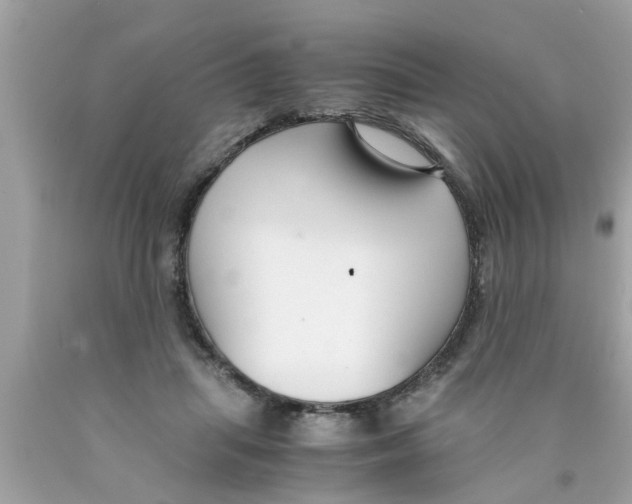 X0000089870455200707262152