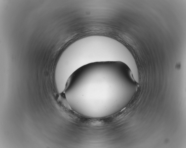 X0000089870456200707262152