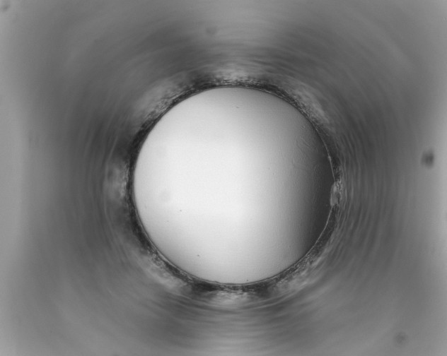 X0000089870458200707262152