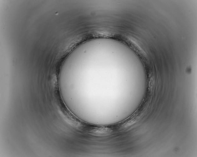 X0000089870459200707262152
