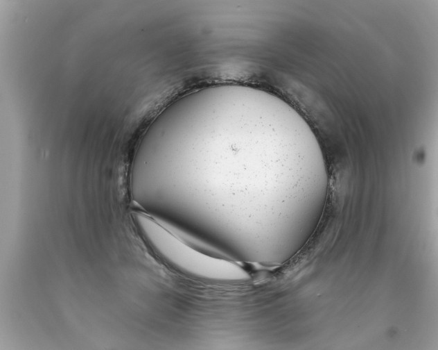X0000089870462200707262152