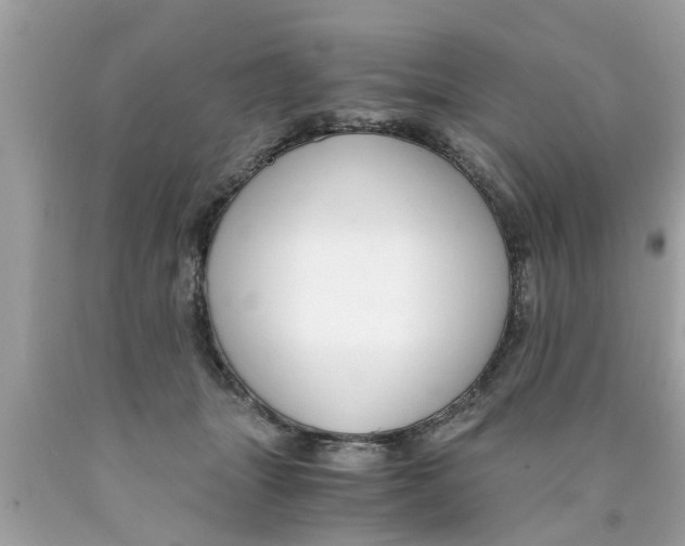 X0000089870463200707262153