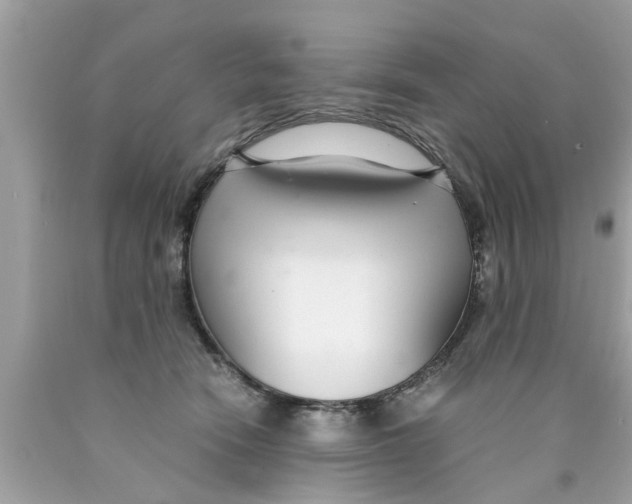 X0000089870466200707262153