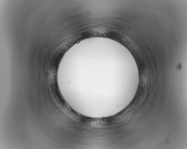 X0000089870468200707262153