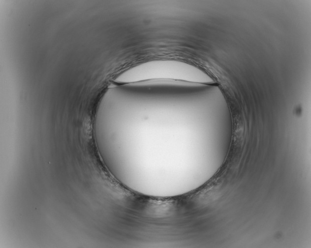 X0000089870469200707262153