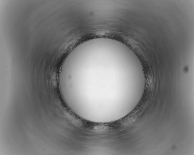 X0000089870470200707262153