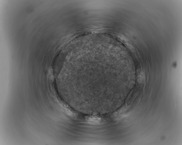 X0000089870471200707262153