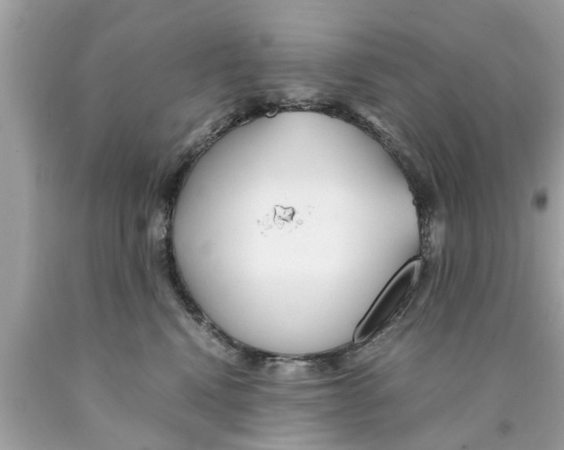 X0000089870472200707262153
