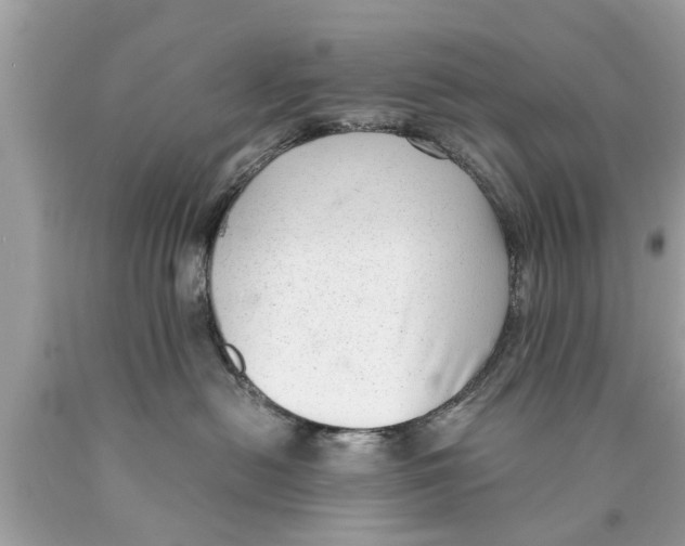 X0000089870478200707262153
