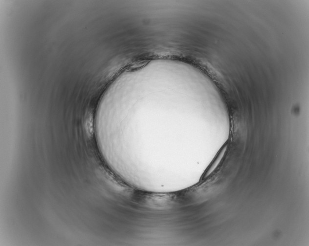 X0000089870479200707262153