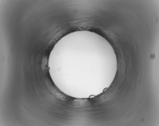 X0000089870480200707262153