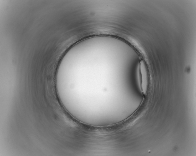X0000089870481200707262152