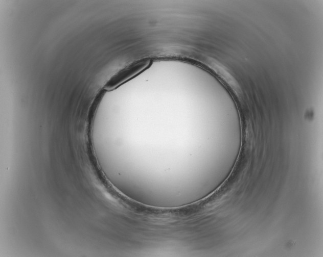 X0000089870485200707262152