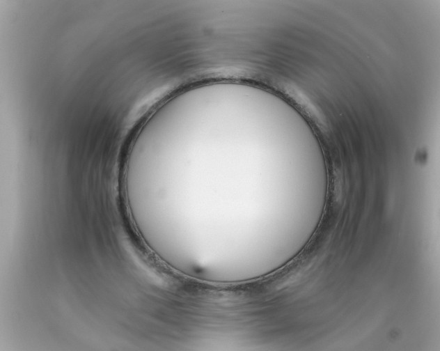 X0000089870486200707262152