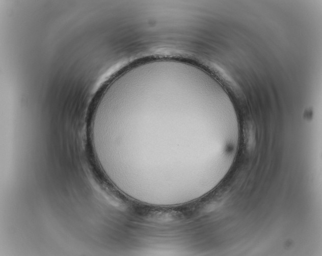 X0000089870488200707262152