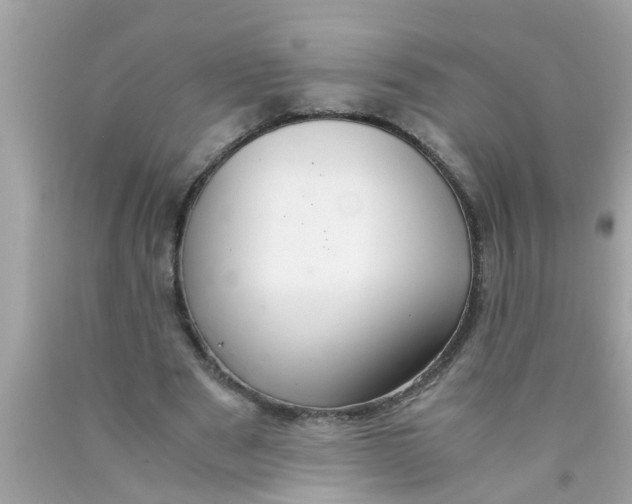 X0000089870489200707262152