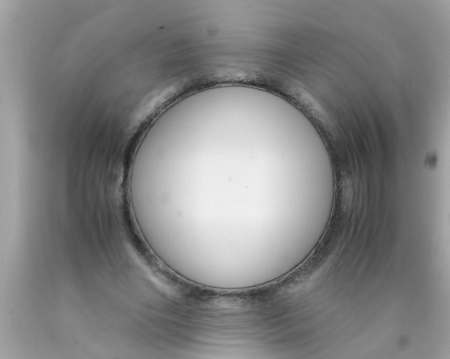 X0000089870490200707262152