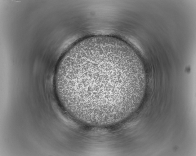 X0000089870491200707262152