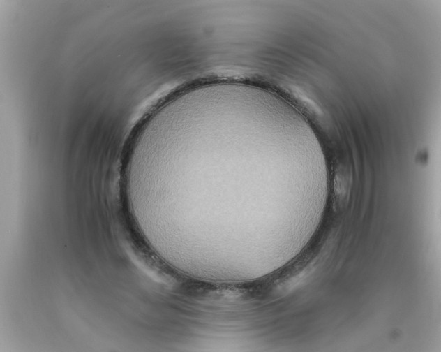 X0000089870492200707262152
