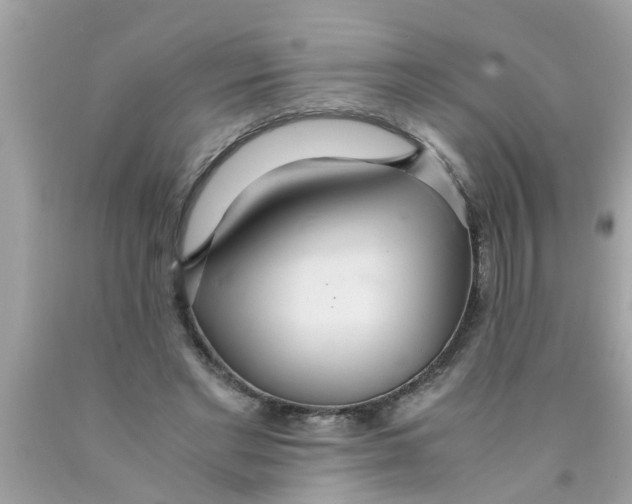 X0000089870493200707262152