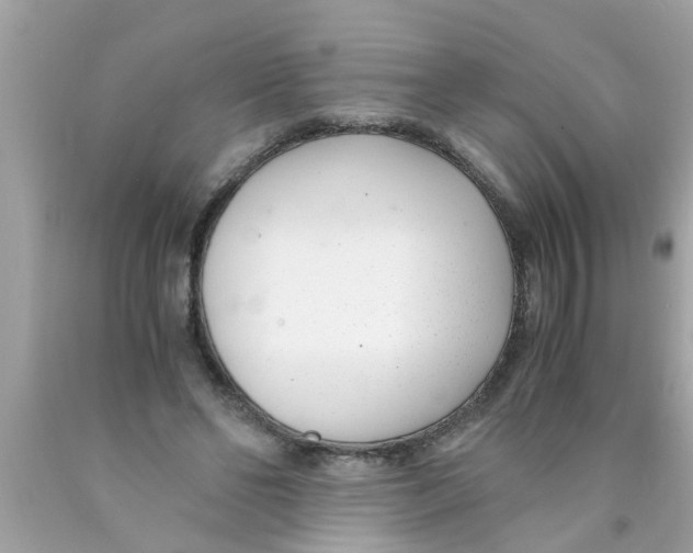 X0000089870494200707262152