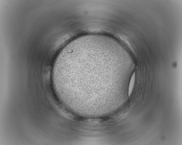 X0000089870495200707262152