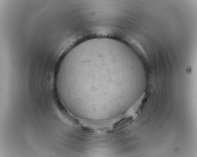 X0000089870496200707262152