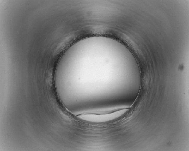 X0000089870497200707262152