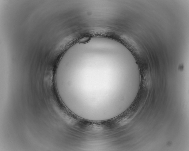 X0000089870498200707262152