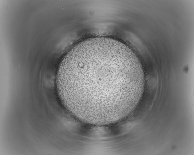 X0000089870499200707262152