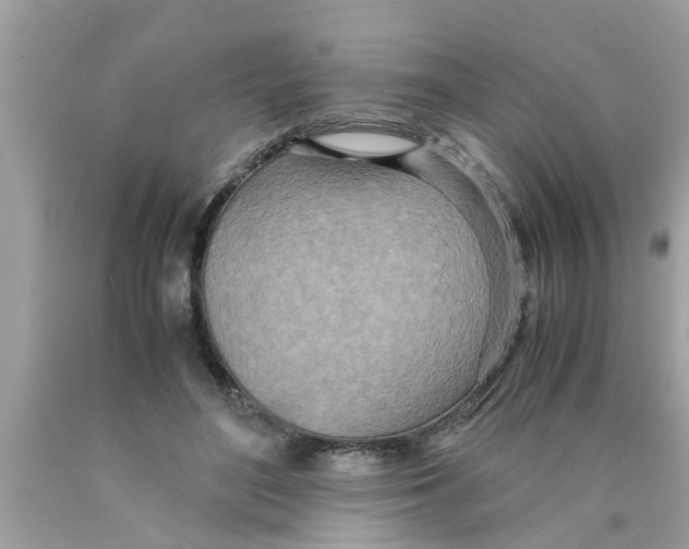 X0000089870500200707262152