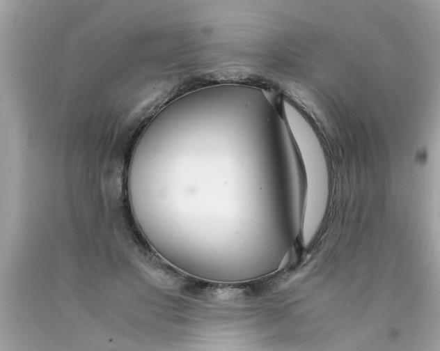 X0000089870501200707262152