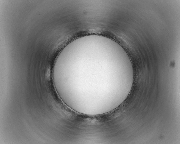 X0000089870502200707262152