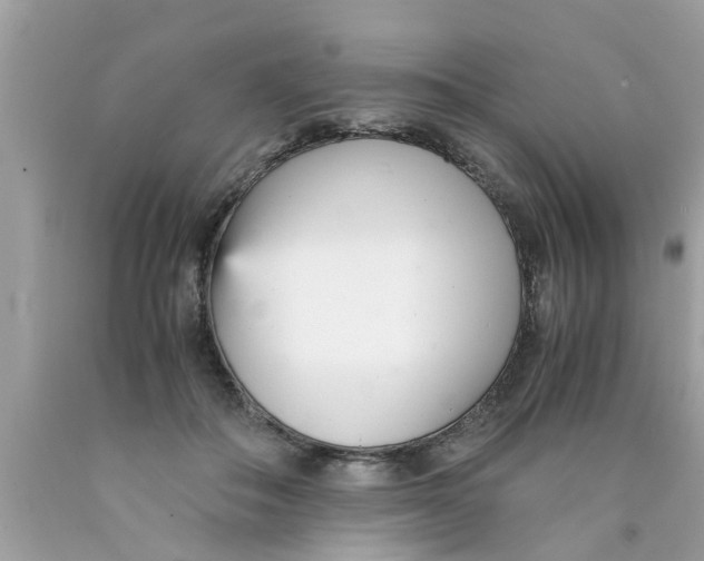X0000089870506200707262152